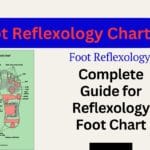 Complete Guide for Reflexology Foot Chart